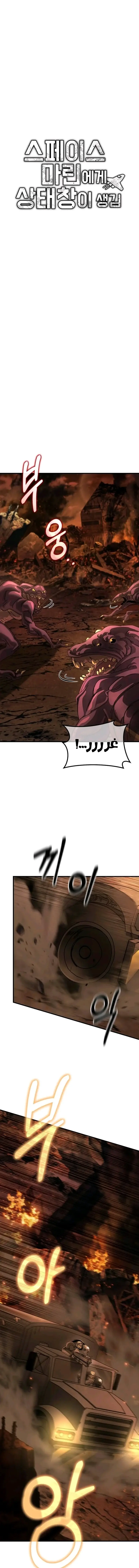 الصفحة 13
