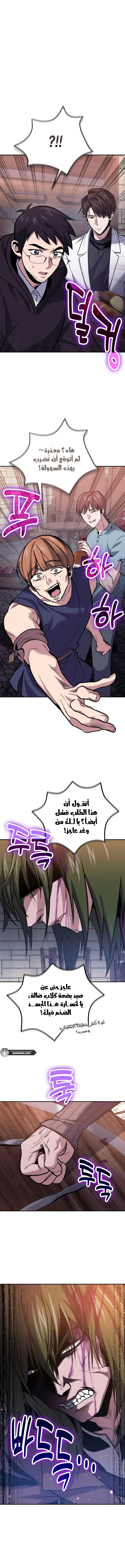الصفحة 13