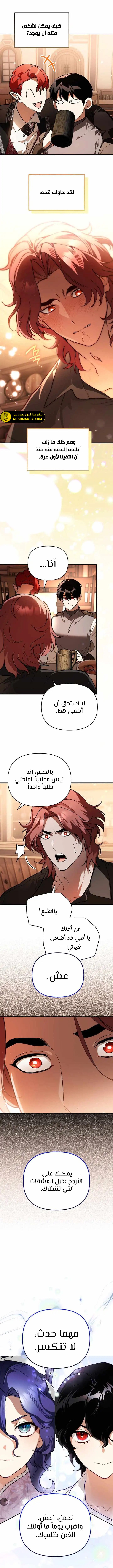 الصفحة 8