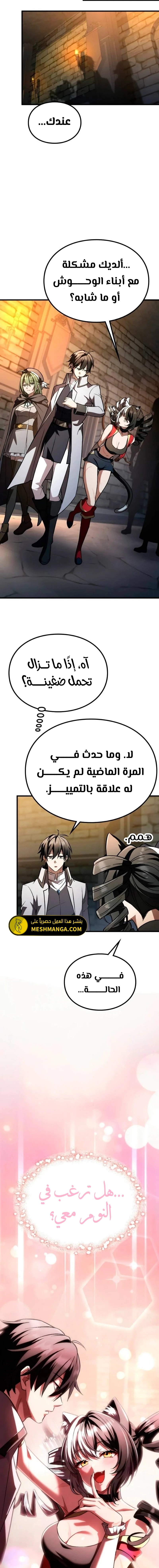 الصفحة 13