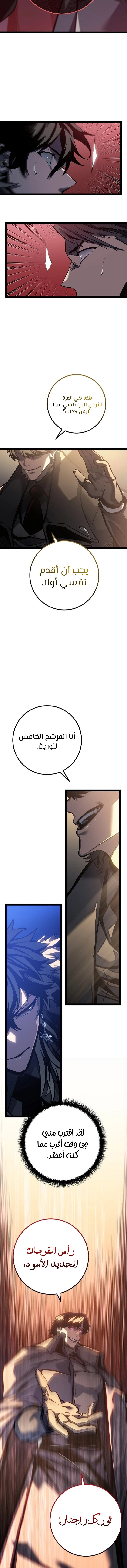 الصفحة 17