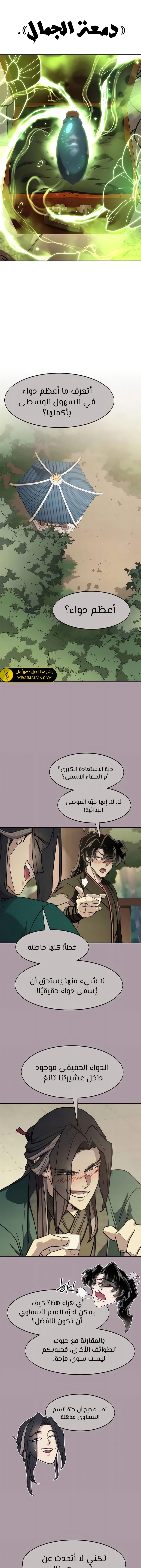 الصفحة 13
