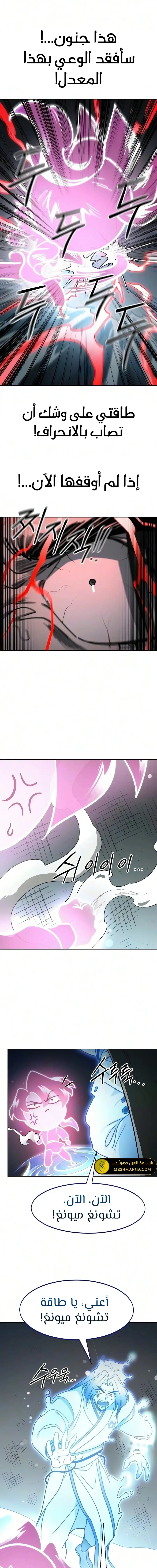 الصفحة 17